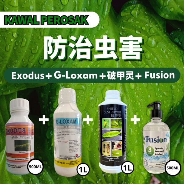 PACKAGE- 破甲灵 SHIELD DESTROYOR➕G-LOXAM➕EXODUS➕FUSION