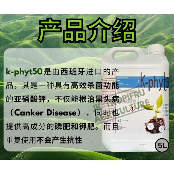 K-PHYT50 (5L) - Image 2