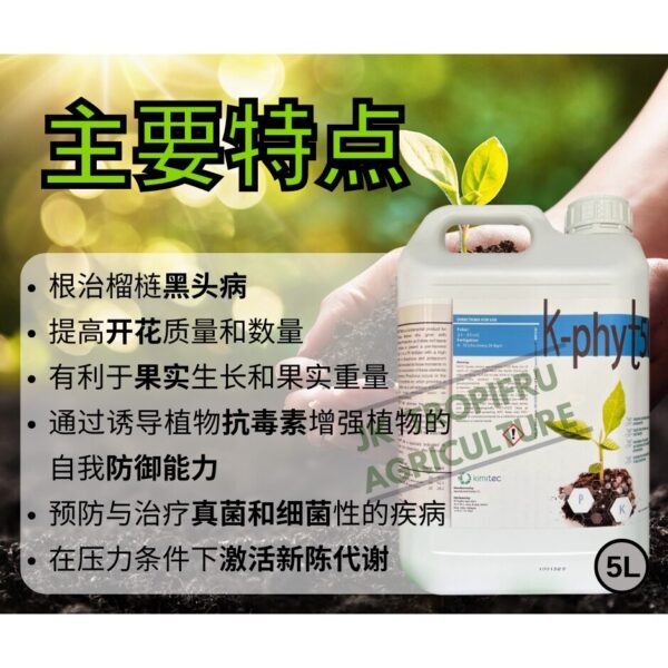 K-PHYT50 (5L) - Image 3
