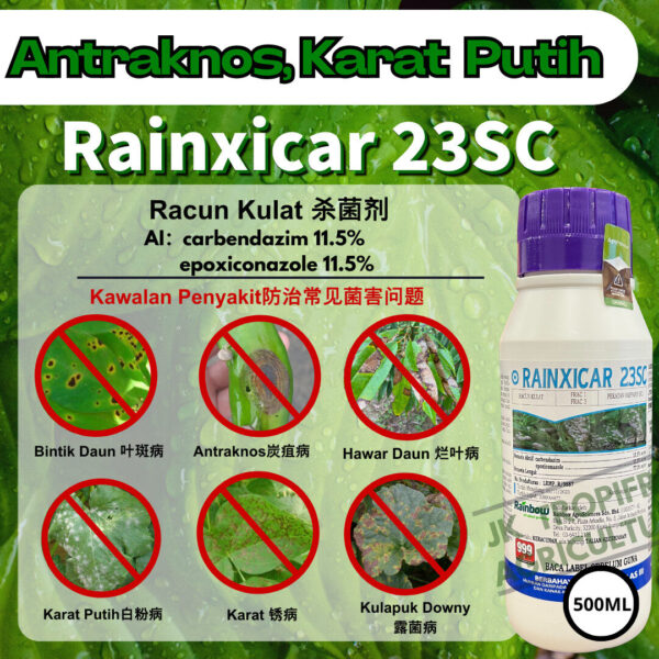 【Antraknos 炭疽病 / Reput Daun 叶腐病 / Karat 锈病】
