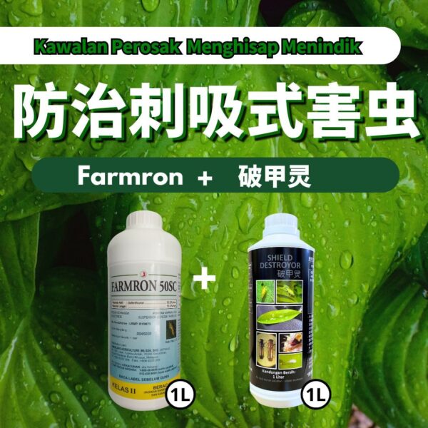【Bena Hijau青蚊/Hama Merah红蜘蛛/Kutu Thrip蓟马】