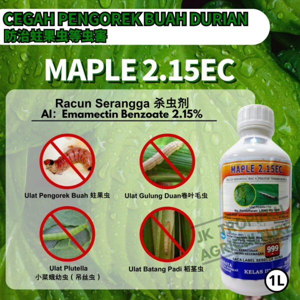 MAPLE (1L)