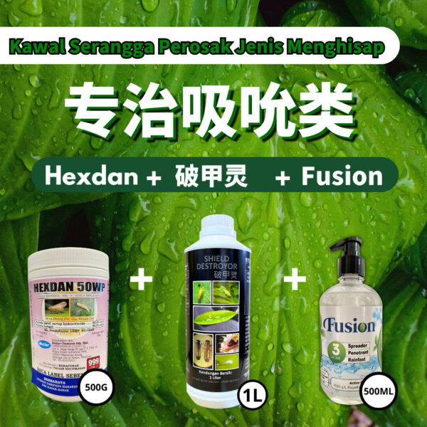 PACKAGE- 破甲灵 SHIELD DESTROYOR➕HEXDAN➕FUSION