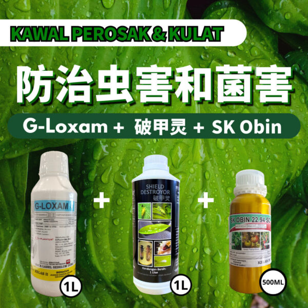 PACKAGE - 破甲灵SHIELD DESTROYOR➕G-LOXAM➕SK OBIN