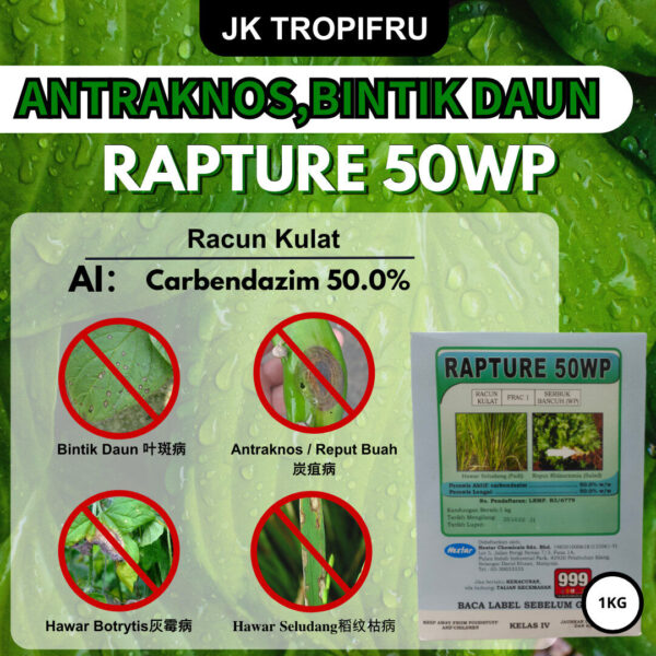 RAPTURE 50WP (1KG) - Image 2