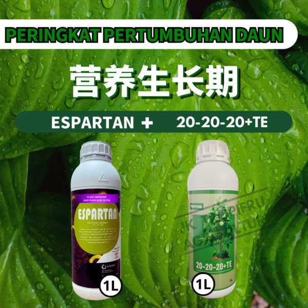 PACKAGE- ESPARTAN➕20-20-20+TE