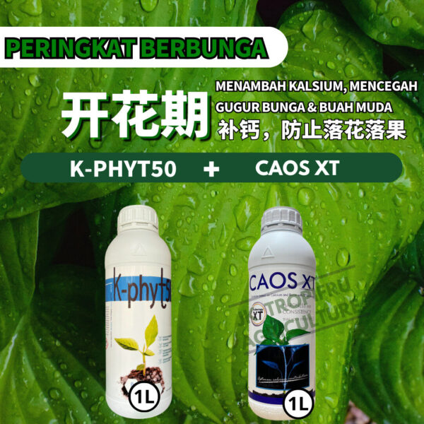 PACKAGE- K-PHYT50➕CAOS XT