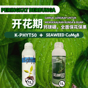 PACKAGE- K-PHYT50➕SEAWEED CAMGB