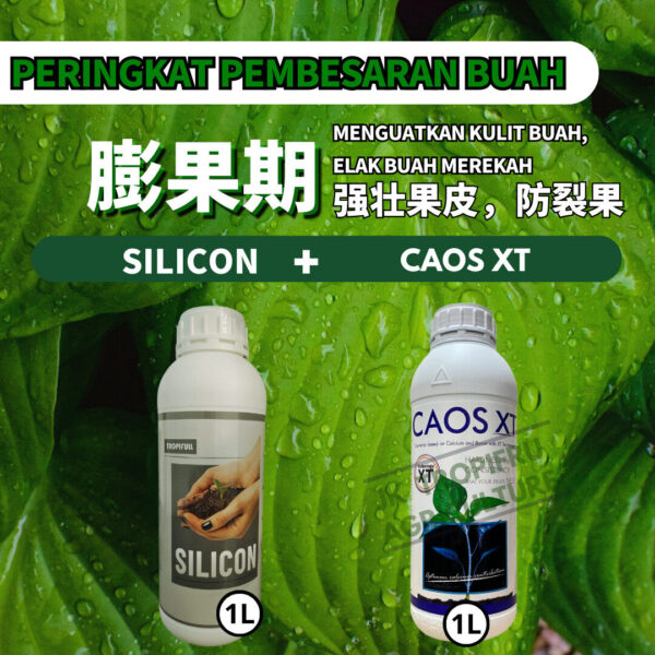PACKAGE- SILICON➕CAOS XT