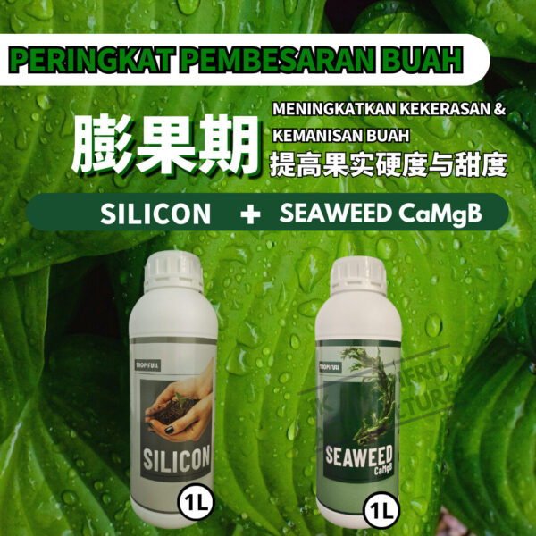 PACKAGE- SILICON➕SEAWEED CAMGB