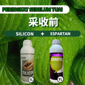 PACKAGE- SILICON➕ESPARTAN