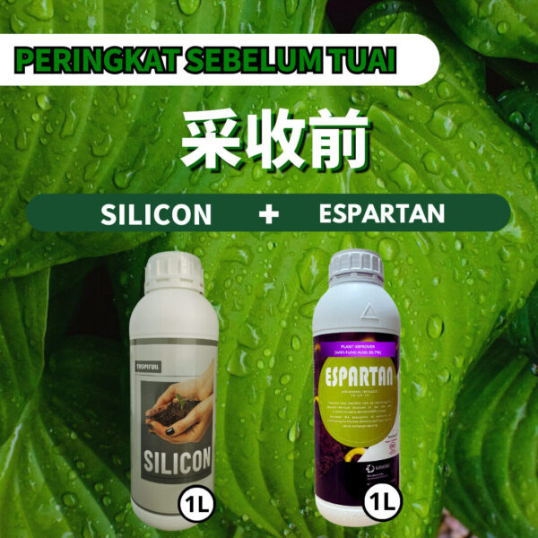PACKAGE- SILICON➕ESPARTAN