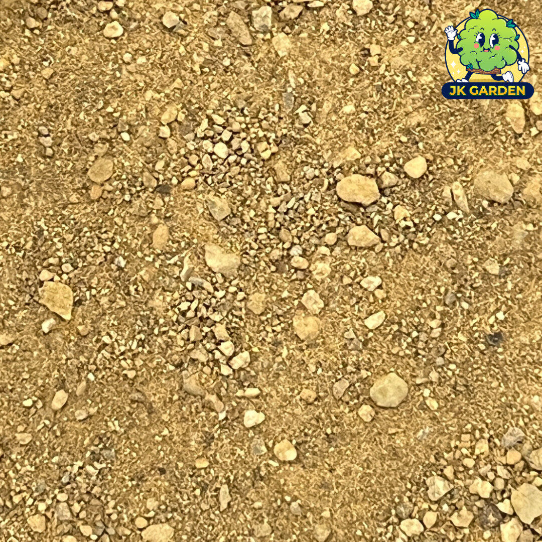 【REPACK】BAJA AKAR - ERP - Image 2