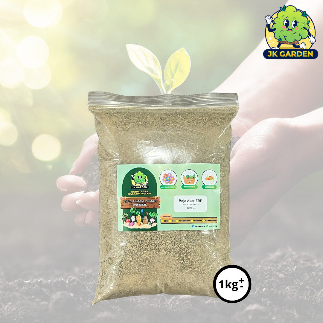 BAJA AKAR - ERP - ๅพ็ 4