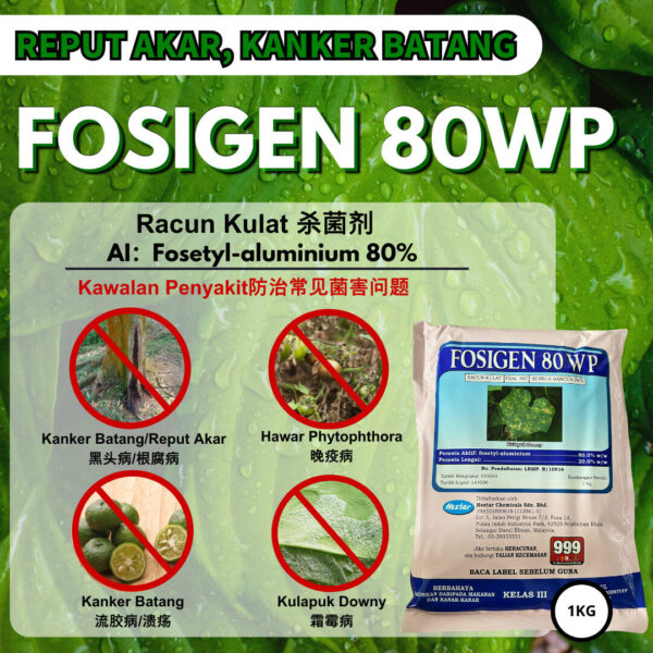 FOSIGEN 80WP 1KG