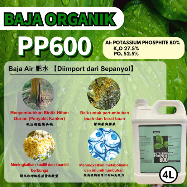 PP600 (4L)