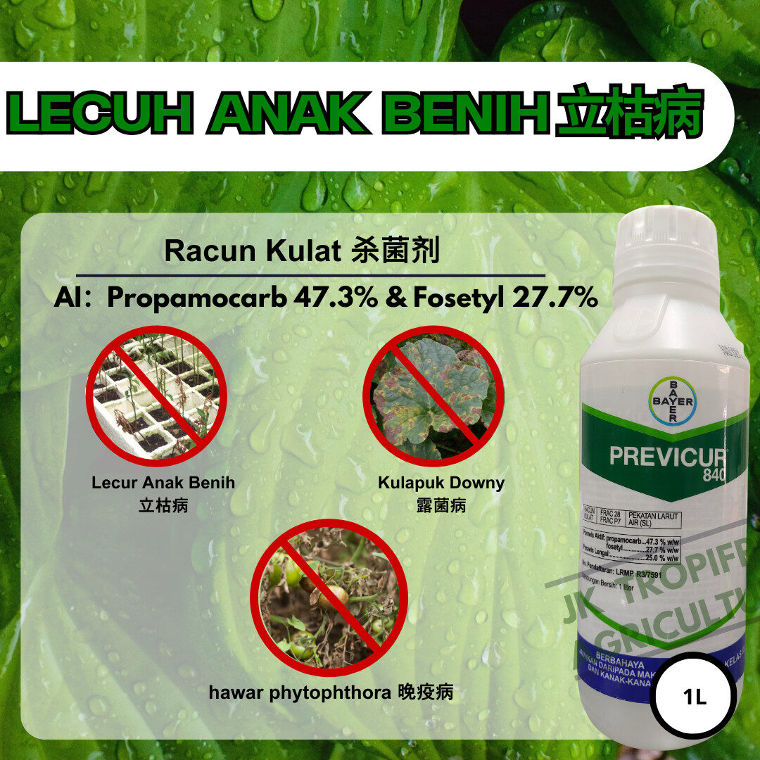 PREVICUR 840 BAYER (1L)