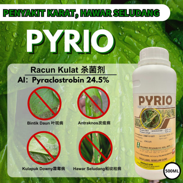 PYRIO 500ML