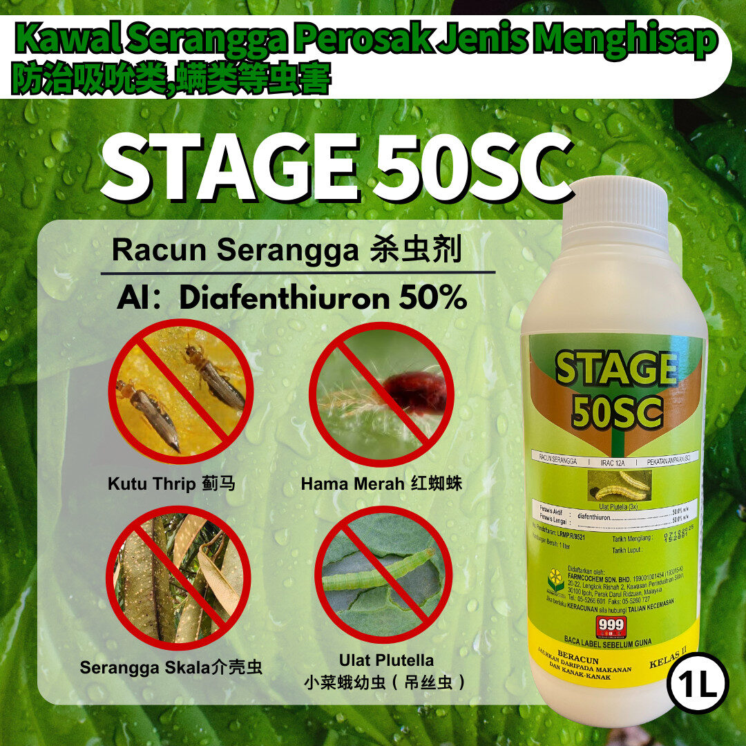 PACKAGE- 破甲灵 SHIELD DESTROYOR➕STAGE➕FUSION - Image 3