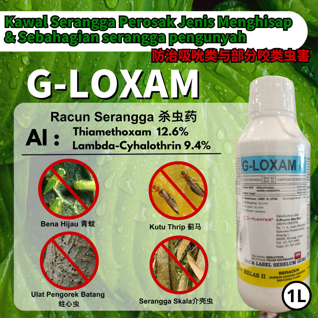 PACKAGE- 破甲灵 SHIELD DESTROYOR➕G-LOXAM➕EXODUS➕FUSION - Image 3