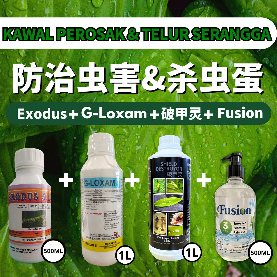 PACKAGE- 破甲灵 SHIELD DESTROYOR➕G-LOXAM➕EXODUS➕FUSION