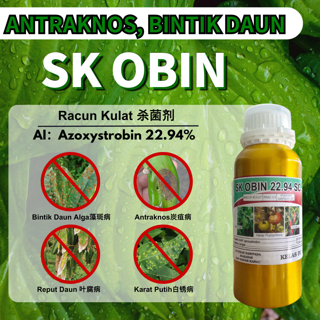 PACKAGE - 破甲灵SHIELD DESTROYOR➕G-LOXAM➕SK OBIN - 图片 4