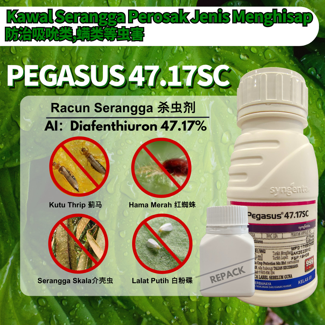 【REPACK】PEGASUS 47.17SC