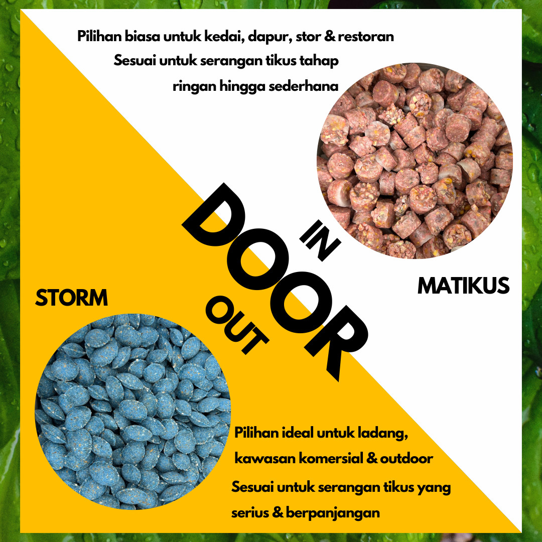 MATIKUS 100G X5 - Image 6