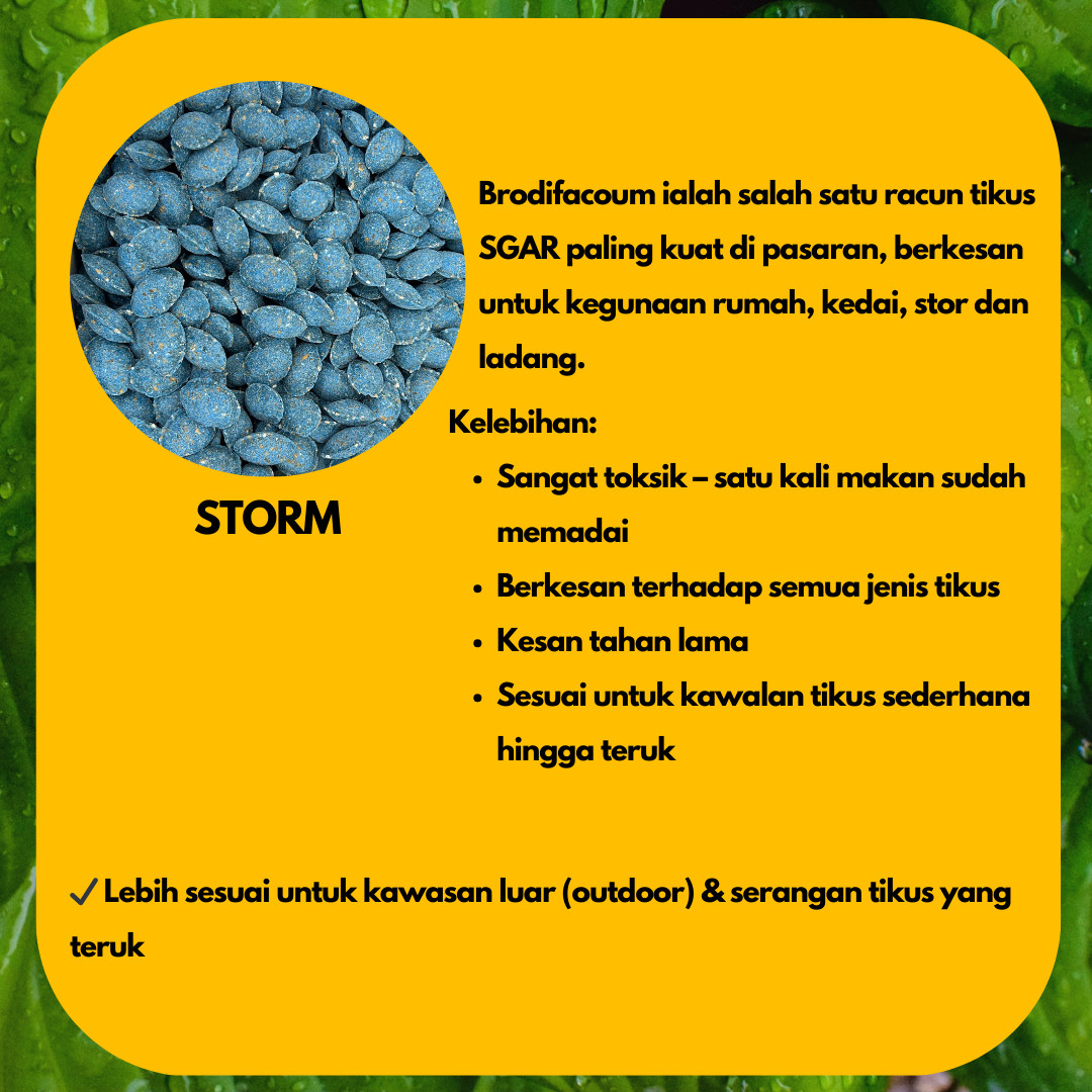 MATIKUS 100G X5 - Image 8