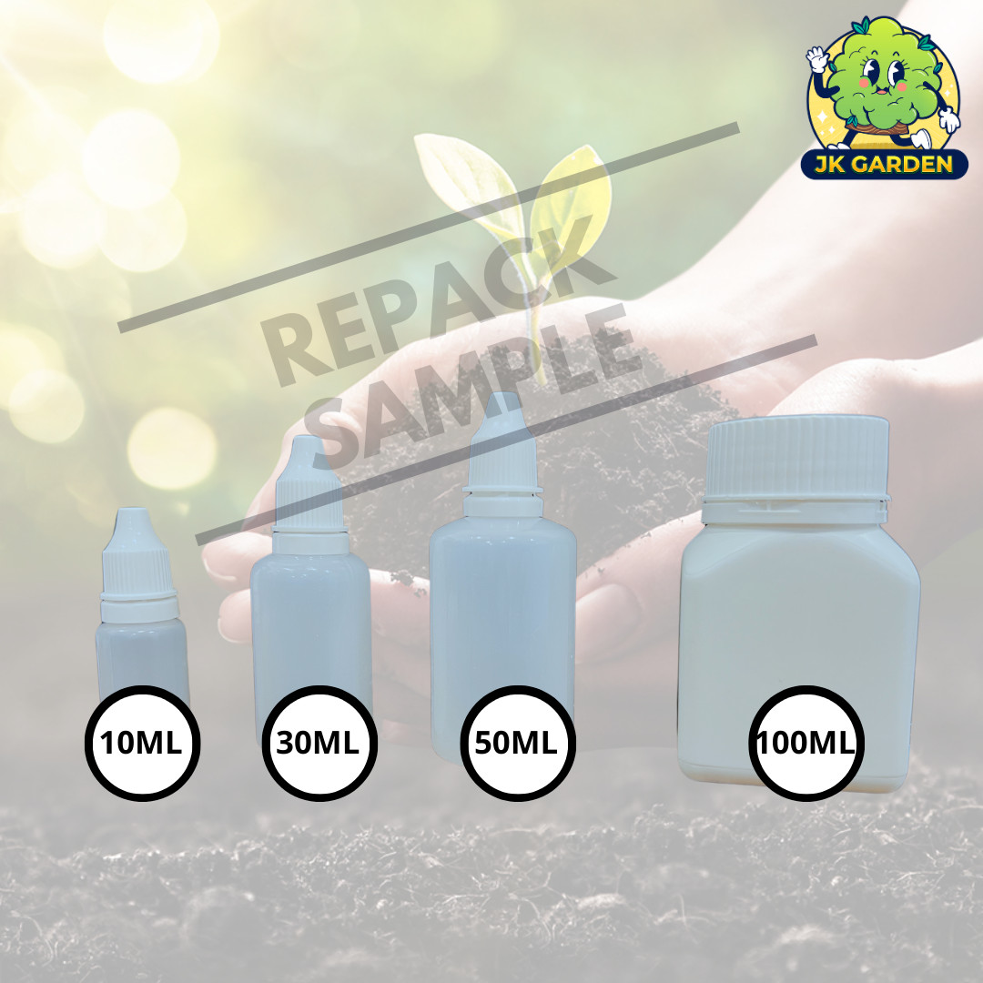 【REPACK】AMIKO - Image 2