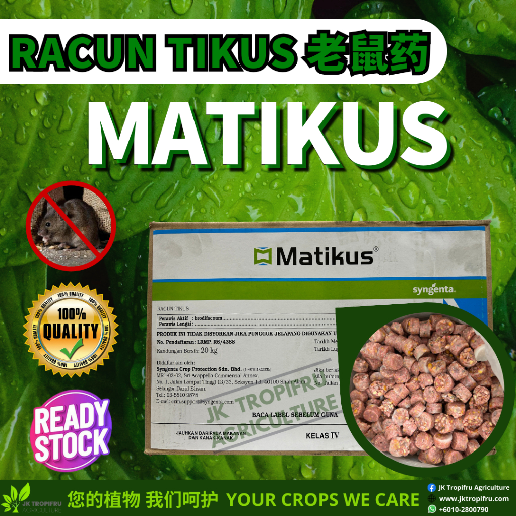 【RACUN TIKUS】MATIKUS - Image 2