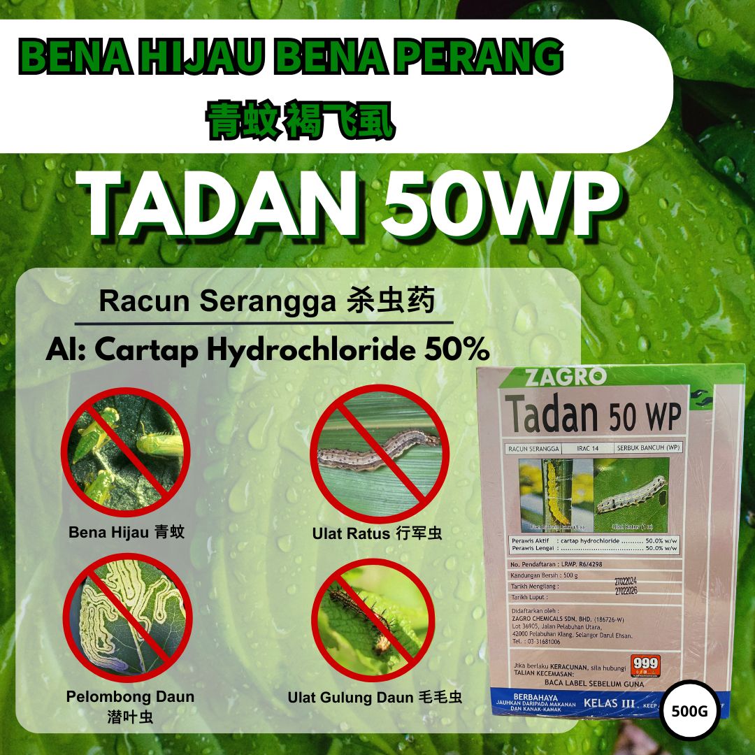 ZAGRO TADAN 50WP (500G)