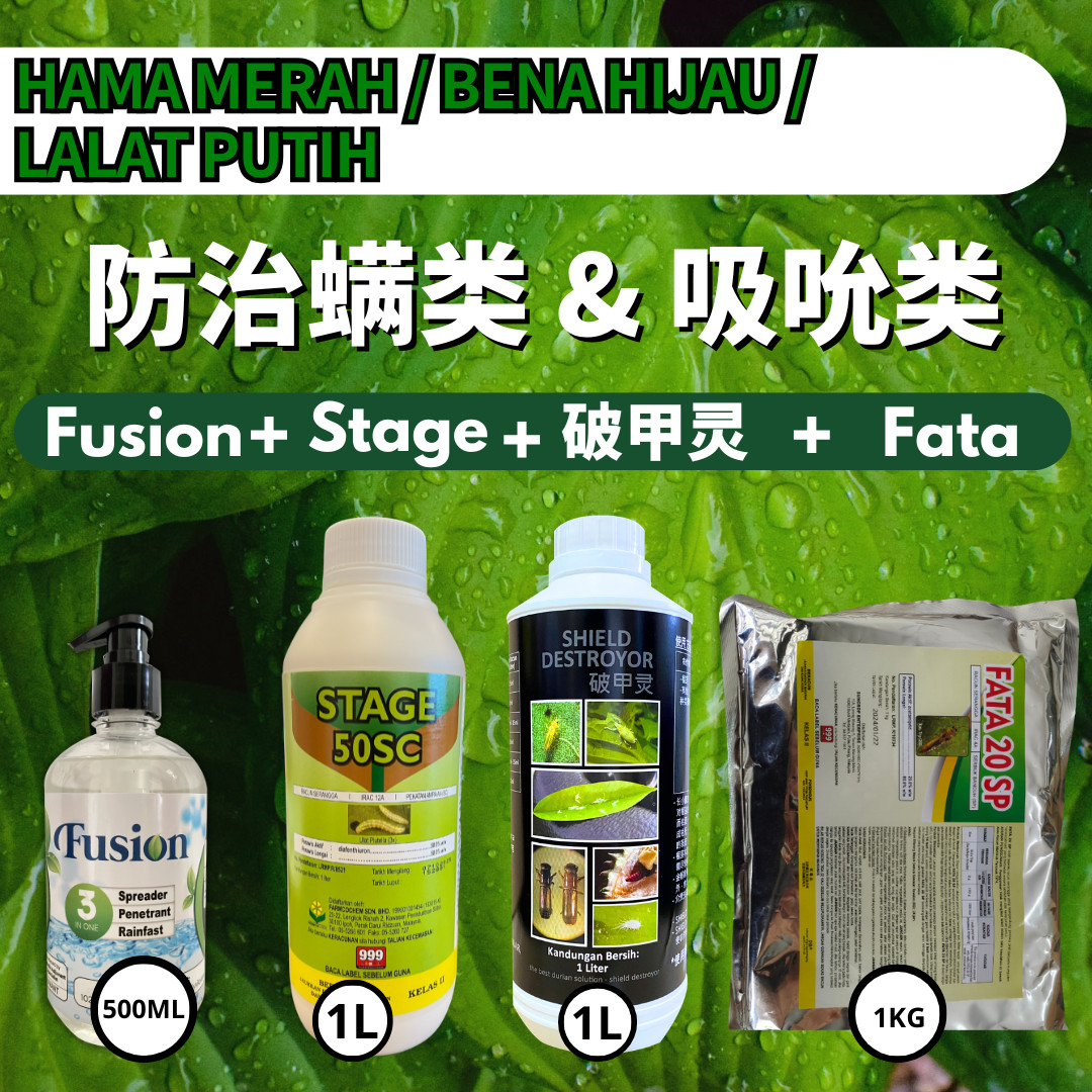 PACKAGE- 破甲灵SHIELD DESTROYOR➕STAGE➕FATA➕FUSION